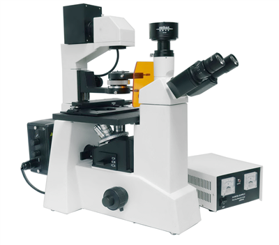 倒置荧光显微镜DFM-60C