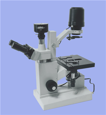 倒置显微镜 XDS-100C