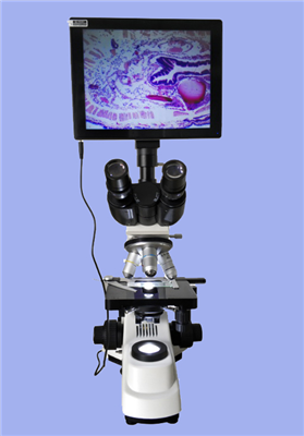 视频生物显微镜XSP-4C