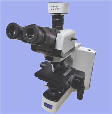 实验室生物显微镜RCK-40C