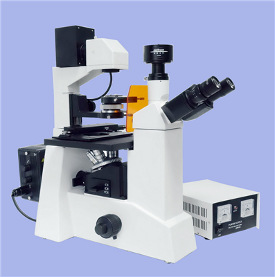 倒置荧光显微镜 XDS-500C