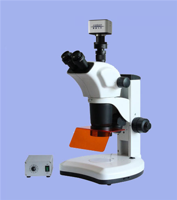 荧光体视显微镜XTL-7000C